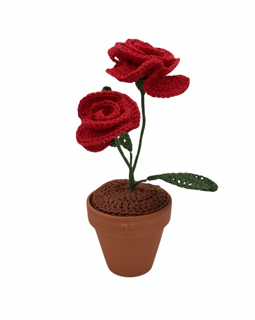 Roses au crochet Petit-Ruban