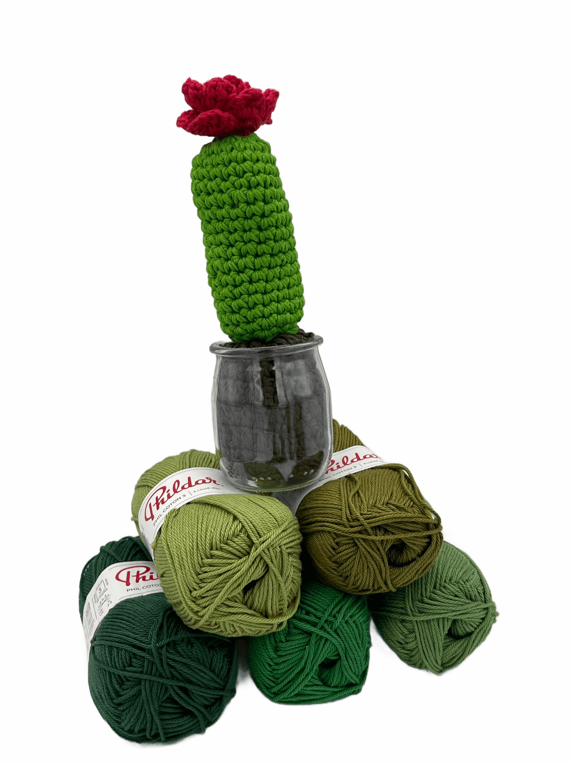 Cactus Fleur — Ccf