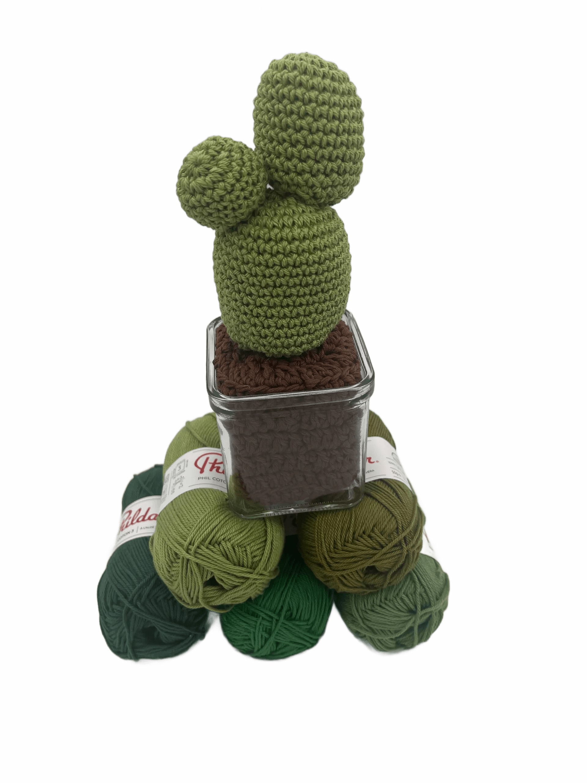 Composition Cactus 1 — Cc1