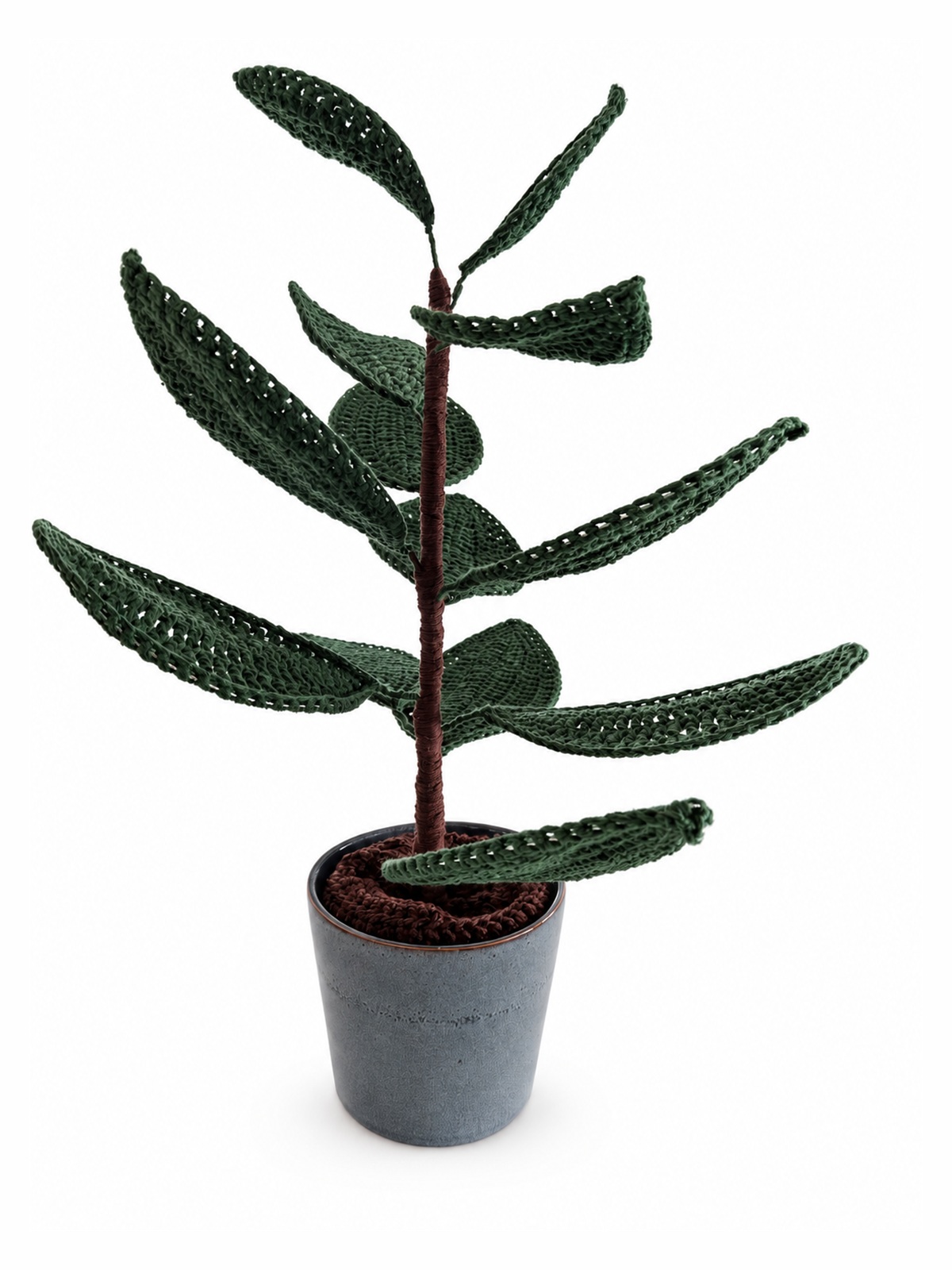 Plante caoutchouc au crochet — Coloris 1