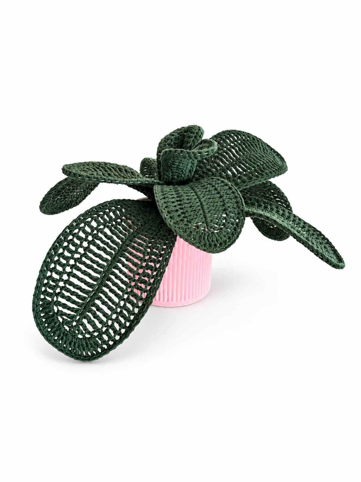 Plante #1 — Coloris 1