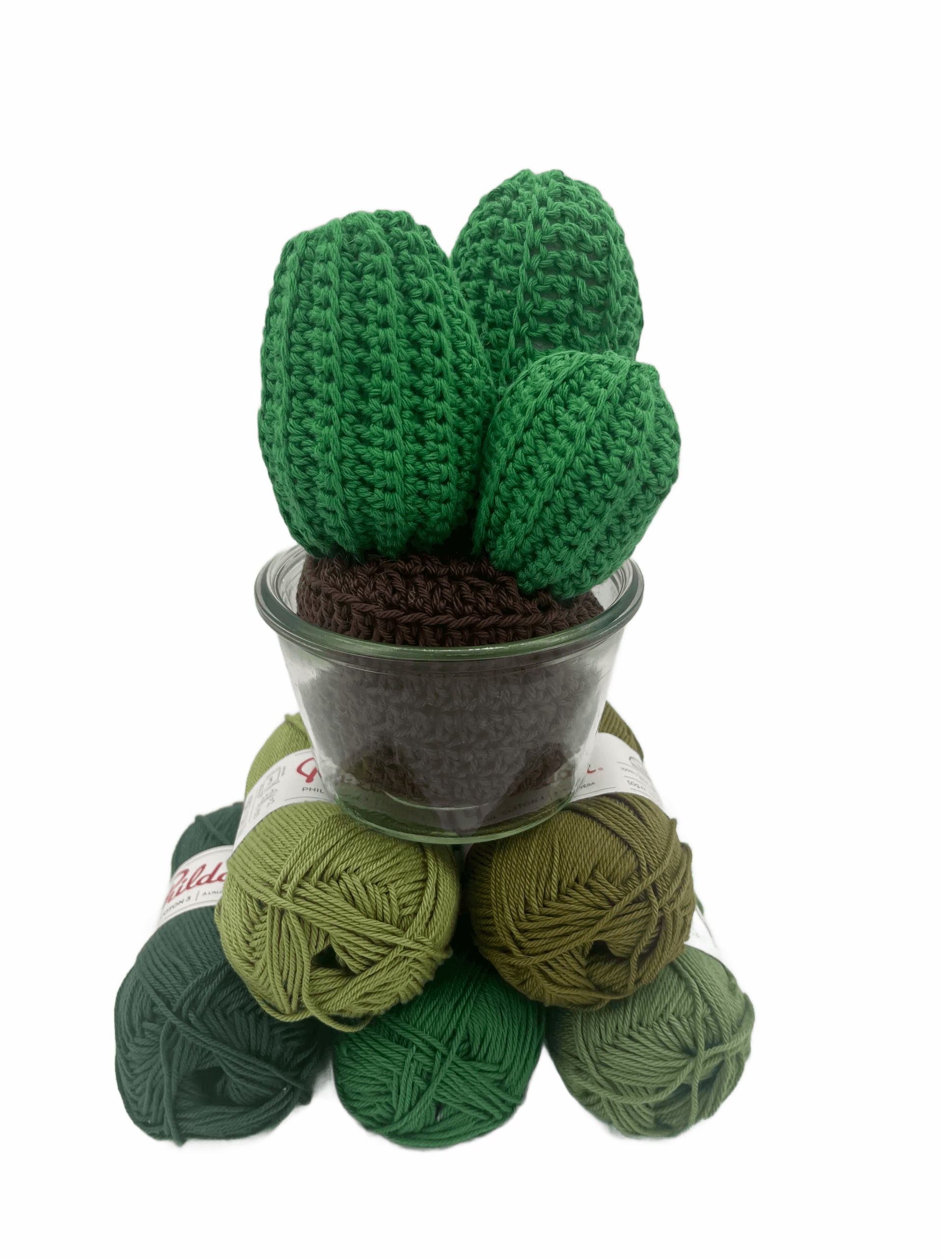 Composition Trio Cactus — Cc3c