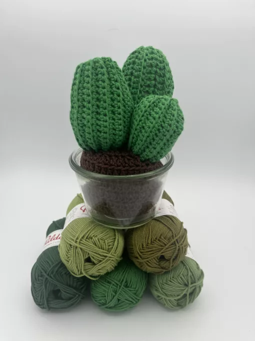 Composition Trio Cactus